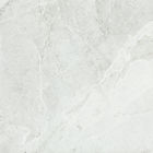 অ্যান্টিব্যাকটেরিয়াল ইন্ডোর চীনামাটির বাসন টাইলস হালকা ধূসর চকচকে পালিশ পৃষ্ঠ