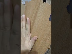 200x1200মিমি কাঠের সিরিজের সিরামিক টাইল-এর পরিচিতি