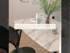 উচ্চ রাসায়নিক প্রতিরোধ ক্ষমতা সম্পন্ন সাদা ইনডোর চীনামাটির টাইলস, যা সাদা রঙের এবং কম জল শোষণ করে