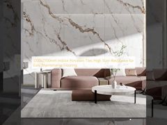 1200x2700mm ইনডোর চীনামাটির টাইলস, সহজে রক্ষণাবেক্ষণের জন্য উচ্চ স্টেইন প্রতিরোধ ক্ষমতা সম্পন্ন ফ্লোরিং