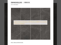 টেকসই মেঝে সমাধানের জন্য সাদা রঙের স্টাইলিশ ইনডোর চীনামাটির টালি প্যানেল