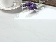 Carrara সাদা আধুনিক চীনামাটির বাসন টাইল ইনডোর এবং আউটডোর মেঝে এবং প্রাচীর ব্যবহার