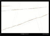 সাদা চকচকে চীনামাটির বাসন টাইল / ডাইনিং রুম গ্লেজড পালিশ টাইলস 810*1410 মিমি