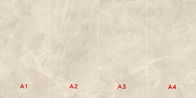উচ্চ তাপমাত্রা প্রতিরোধের 900x1800mm আধুনিক চীনামাটির বাসন টাইল