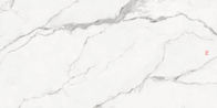 ওয়াল এবং মেঝে সাদা 900x1800 মিমি গ্লাসড স্ল্যাব টাইলস
