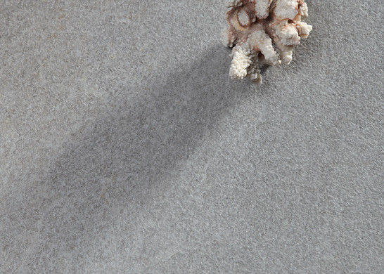 হালকা ধূসর সিরামিক কিচেন ফ্লোর টাইল 300x600 মিমি সাইজ 10 মিমি বেধ