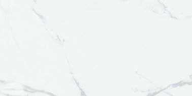 টেকসই 24x48 চীনামাটির বাসন টাইল, ক্যারারা সিরামিক ফ্লোর টাইল পরিধান প্রতিরোধী